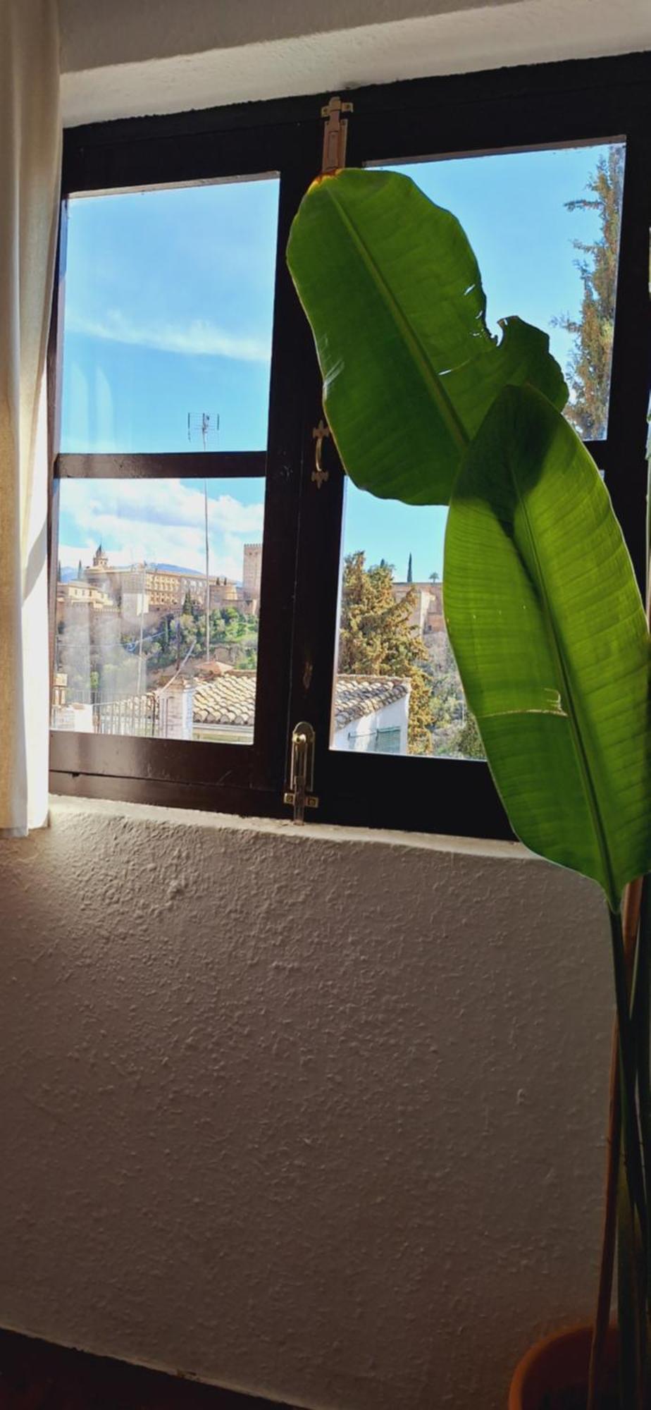 Albaycin For 5pax Apartamento Granada